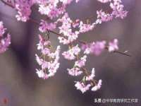 净月高新技术产业开发区沃隆商贸工作室