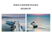 净月高新技术产业开发区沃隆商贸工作室