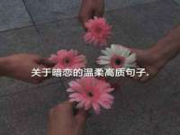净月高新技术产业开发区沃隆商贸工作室