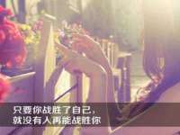 净月高新技术产业开发区沃隆商贸工作室