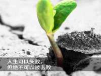 净月高新技术产业开发区沃隆商贸工作室
