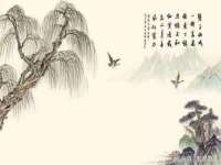 净月高新技术产业开发区沃隆商贸工作室