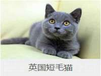 净月高新技术产业开发区沃隆商贸工作室