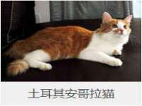 净月高新技术产业开发区沃隆商贸工作室