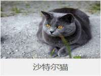 净月高新技术产业开发区沃隆商贸工作室