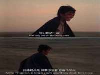净月高新技术产业开发区沃隆商贸工作室