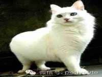 净月高新技术产业开发区沃隆商贸工作室
