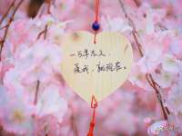 净月高新技术产业开发区沃隆商贸工作室
