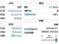 净月高新技术产业开发区沃隆商贸工作室
