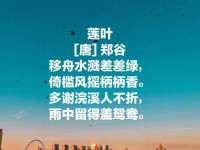 净月高新技术产业开发区沃隆商贸工作室