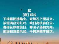 净月高新技术产业开发区沃隆商贸工作室