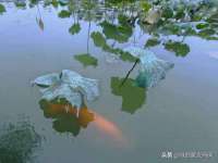 净月高新技术产业开发区沃隆商贸工作室