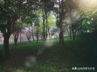 净月高新技术产业开发区沃隆商贸工作室