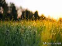净月高新技术产业开发区沃隆商贸工作室