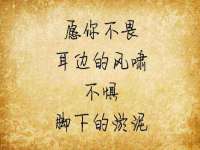 净月高新技术产业开发区沃隆商贸工作室