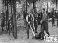 净月高新技术产业开发区沃隆商贸工作室