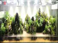 净月高新技术产业开发区沃隆商贸工作室
