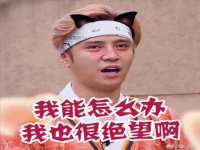 净月高新技术产业开发区沃隆商贸工作室