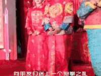 净月高新技术产业开发区沃隆商贸工作室