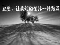 净月高新技术产业开发区沃隆商贸工作室