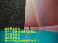 净月高新技术产业开发区沃隆商贸工作室