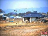净月高新技术产业开发区沃隆商贸工作室