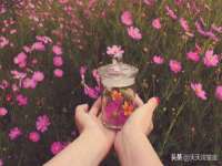 净月高新技术产业开发区沃隆商贸工作室