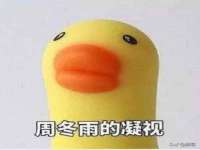 净月高新技术产业开发区沃隆商贸工作室