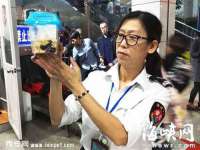 净月高新技术产业开发区沃隆商贸工作室