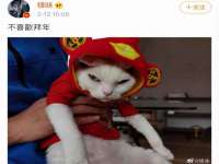 净月高新技术产业开发区沃隆商贸工作室